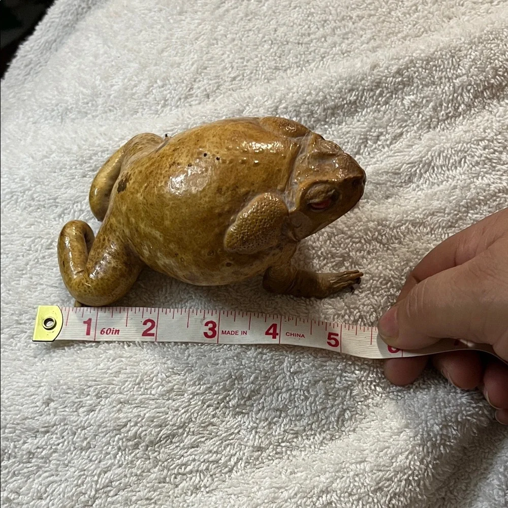 Realistic Brown Toad Ornament for Reptile Enclosures
